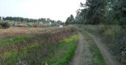 Αγροτεμάχιο 4.036 Μ2 προς Πώληση. ΤΙΜΗ ΕΥΚΑΙΡΙΑΣ.