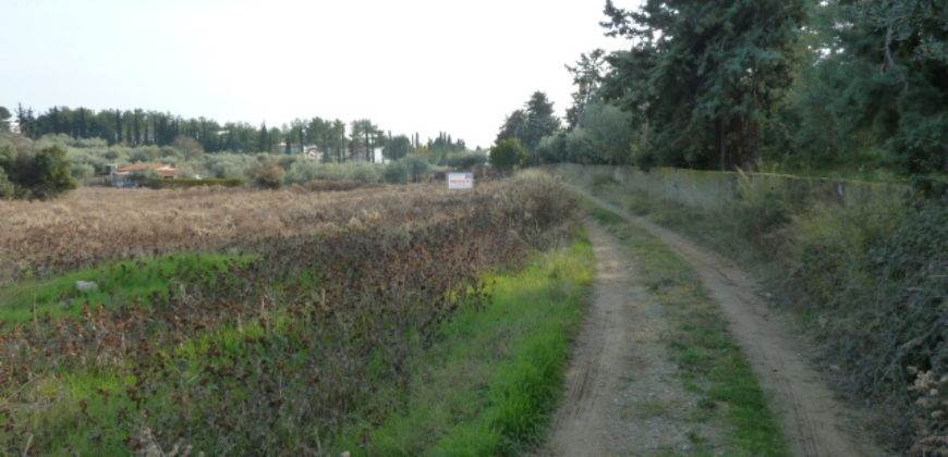 Αγροτεμάχιο 4.036 Μ2 προς Πώληση. ΤΙΜΗ ΕΥΚΑΙΡΙΑΣ.