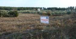 Αγροτεμάχιο 4.036 Μ2 προς Πώληση. ΤΙΜΗ ΕΥΚΑΙΡΙΑΣ.