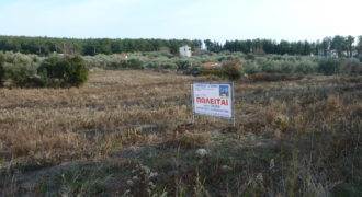 Αγροτεμάχιο 4.036 Μ2 προς Πώληση. ΤΙΜΗ ΕΥΚΑΙΡΙΑΣ.