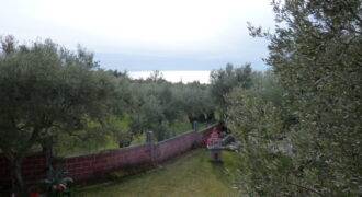 Ενοικίαση Μονοκατοικίας 70 Μ2 στην Αγία Παρασκευή-Μάκρη.