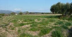 Dikella. For Sale, Land Parcel of 7.300 m2.