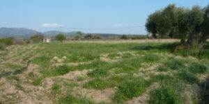 Δίκελλα. Πώληση Αγροτεμαχίου 7.300 Μ2