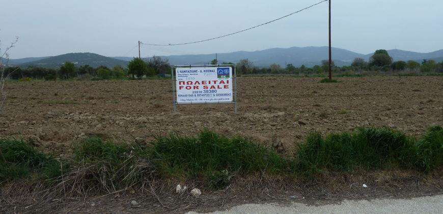 Δίκελλα. Πώληση Αγροτεμαχίου 7.300 Μ2