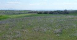 Πώληση Αγροτεμαχίου-Περιοχή Αμφιτρίτης.