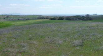 Πώληση Αγροτεμαχίου-Περιοχή Αμφιτρίτης.