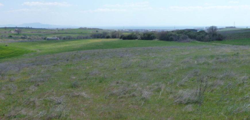 Πώληση Αγροτεμαχίου-Περιοχή Αμφιτρίτης.