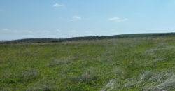 Πώληση Αγροτεμαχίου-Υψώματα Αμφιτρίτης.