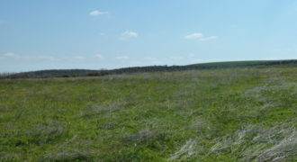 Πώληση Αγροτεμαχίου-Υψώματα Αμφιτρίτης.