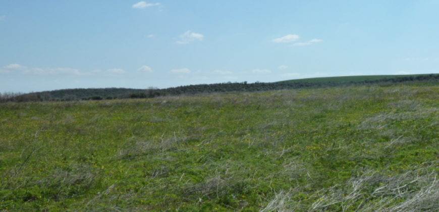 Πώληση Αγροτεμαχίου-Υψώματα Αμφιτρίτης.