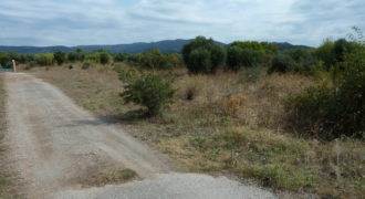 Land Parcel of 4.586 M2 at the beach of Dikella for Sale.