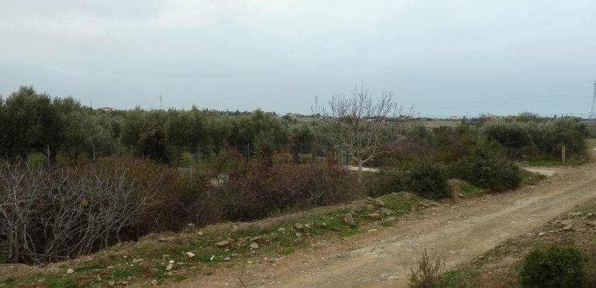 Πώληση Αγροτεμαχίου 7.000 Μ2 – Καλλιθέα, Ν. Χιλή.