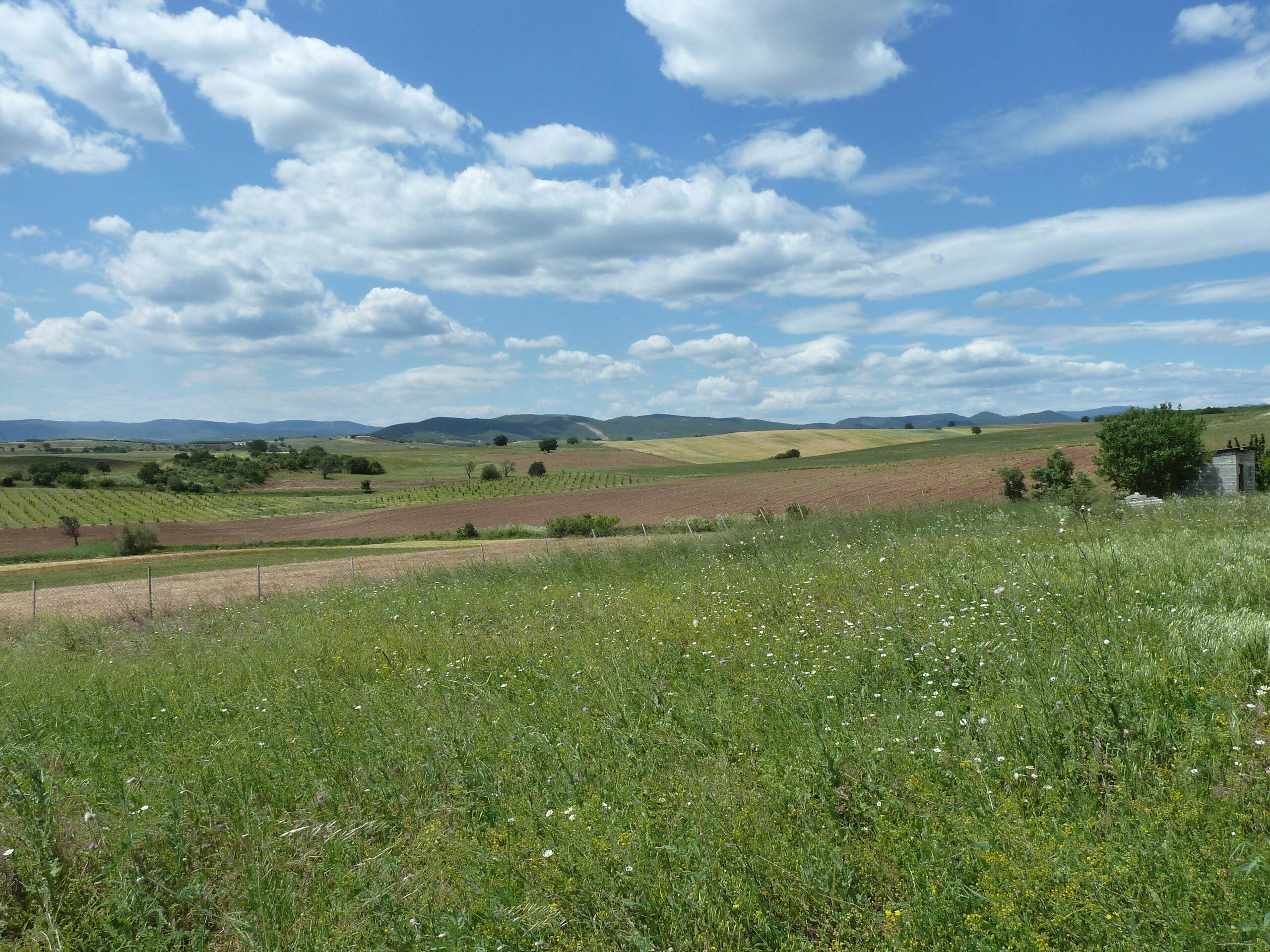 Alex/polis. Apalos. Land Parcel for Sale. Bargain Price.