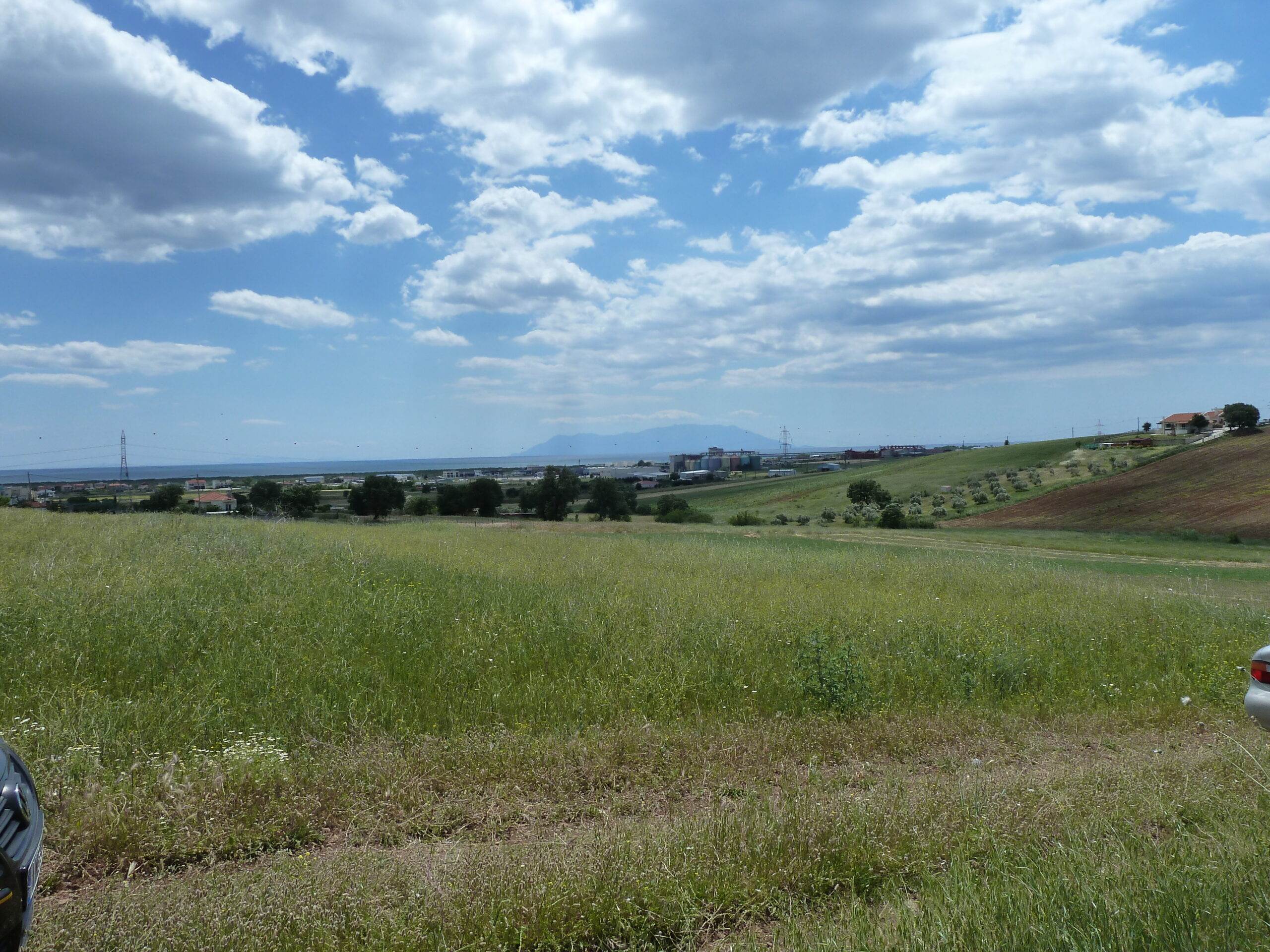 Alex/polis. Apalos. Land Parcel for Sale. Bargain Price.