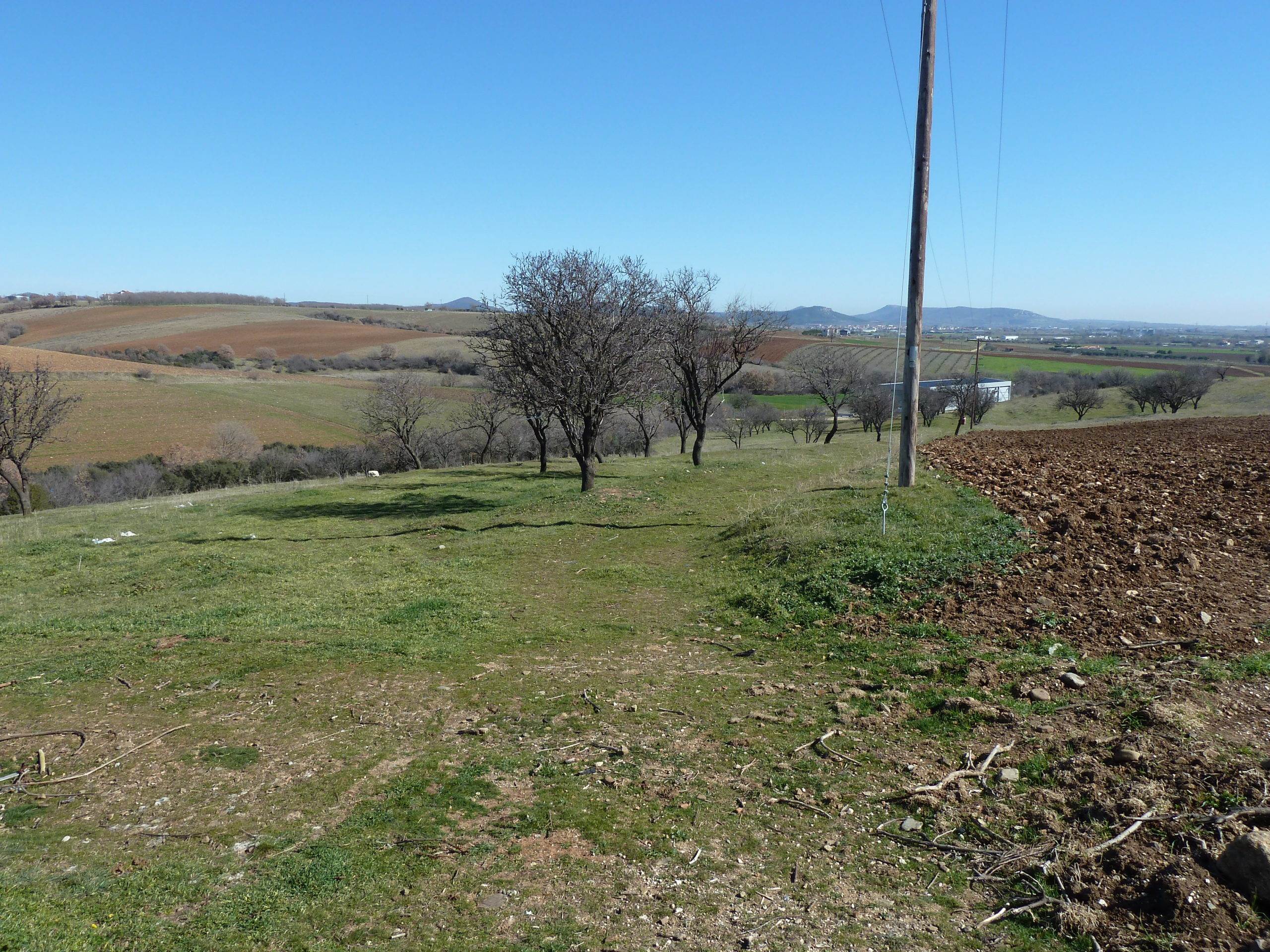 Απαλός. Πώληση Αγροτεμαχίου.