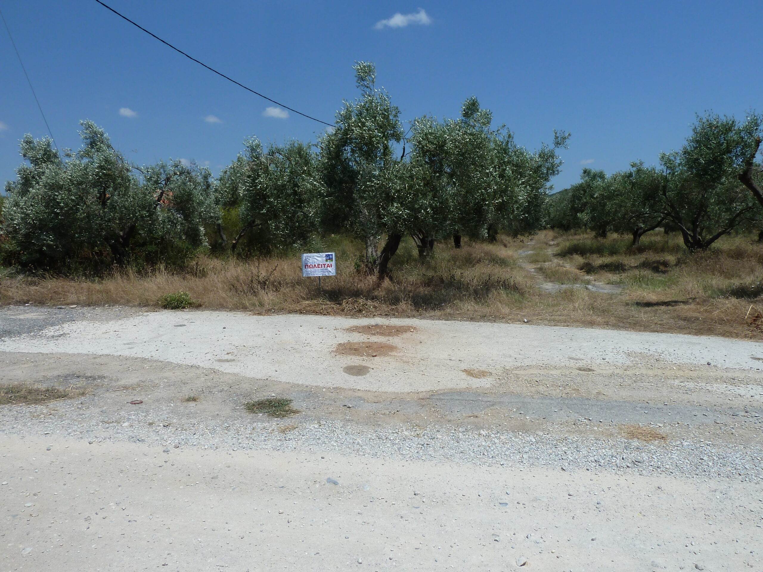 Δίκελλα. Πώληση Αγροτεμαχίου 1.800 Μ2.