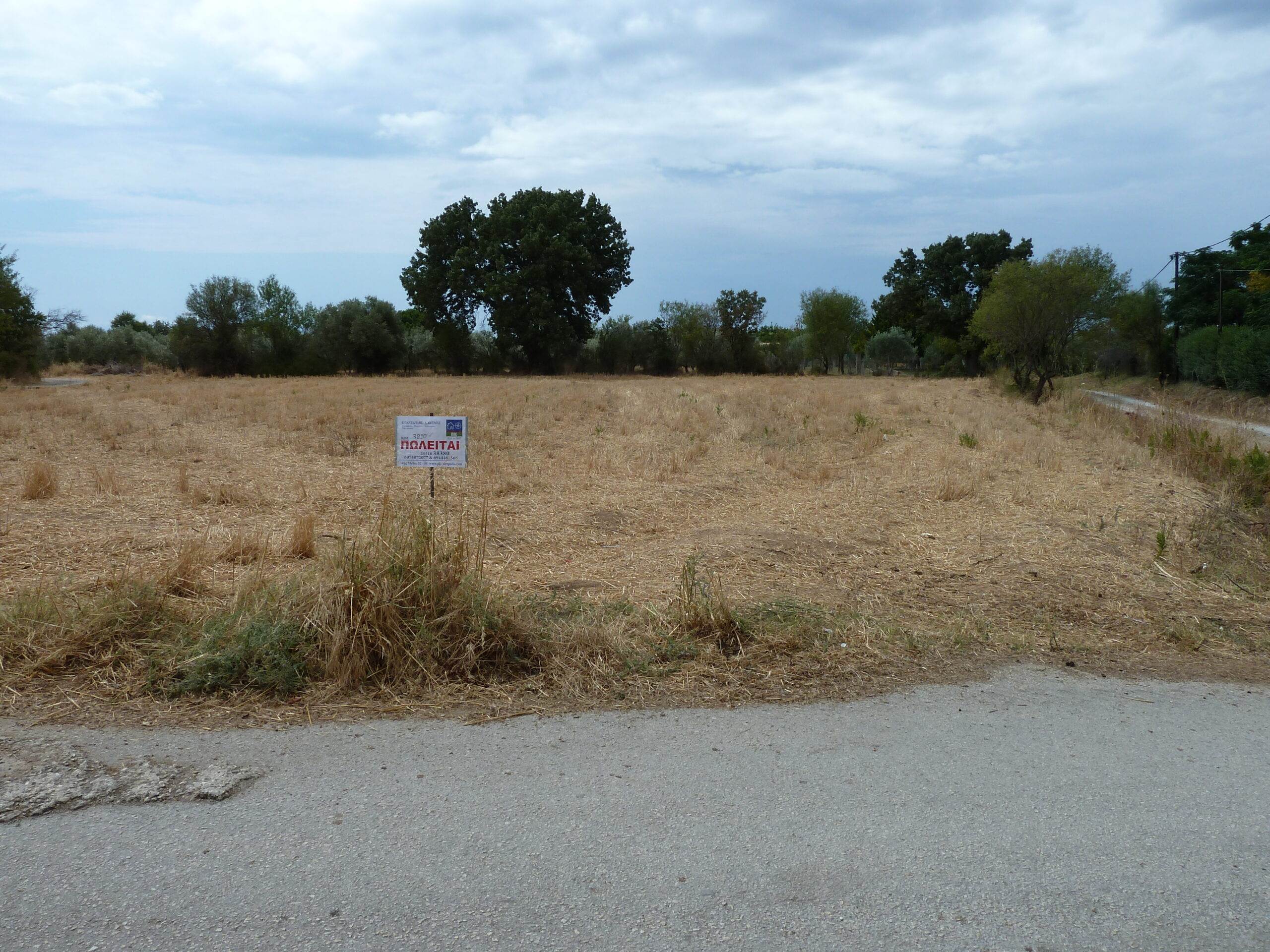 Δίκελλα. Πώληση Αγροτεμαχίου 2.700 Μ2.