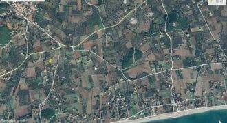 Δίκελλα. Πώληση Αγροτεμαχίου 1.128 Μ2.