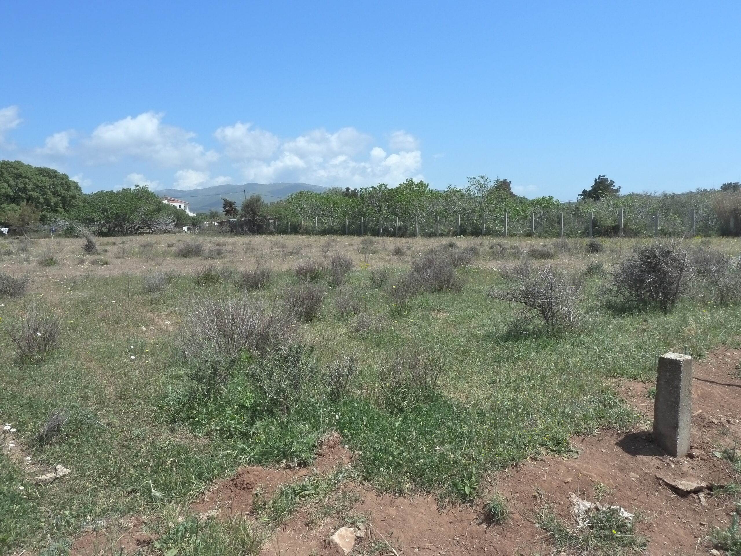Αλεξ/πολη. Δίκελλα. Πώληση Αγροτεμαχίου 3.433 Μ2.