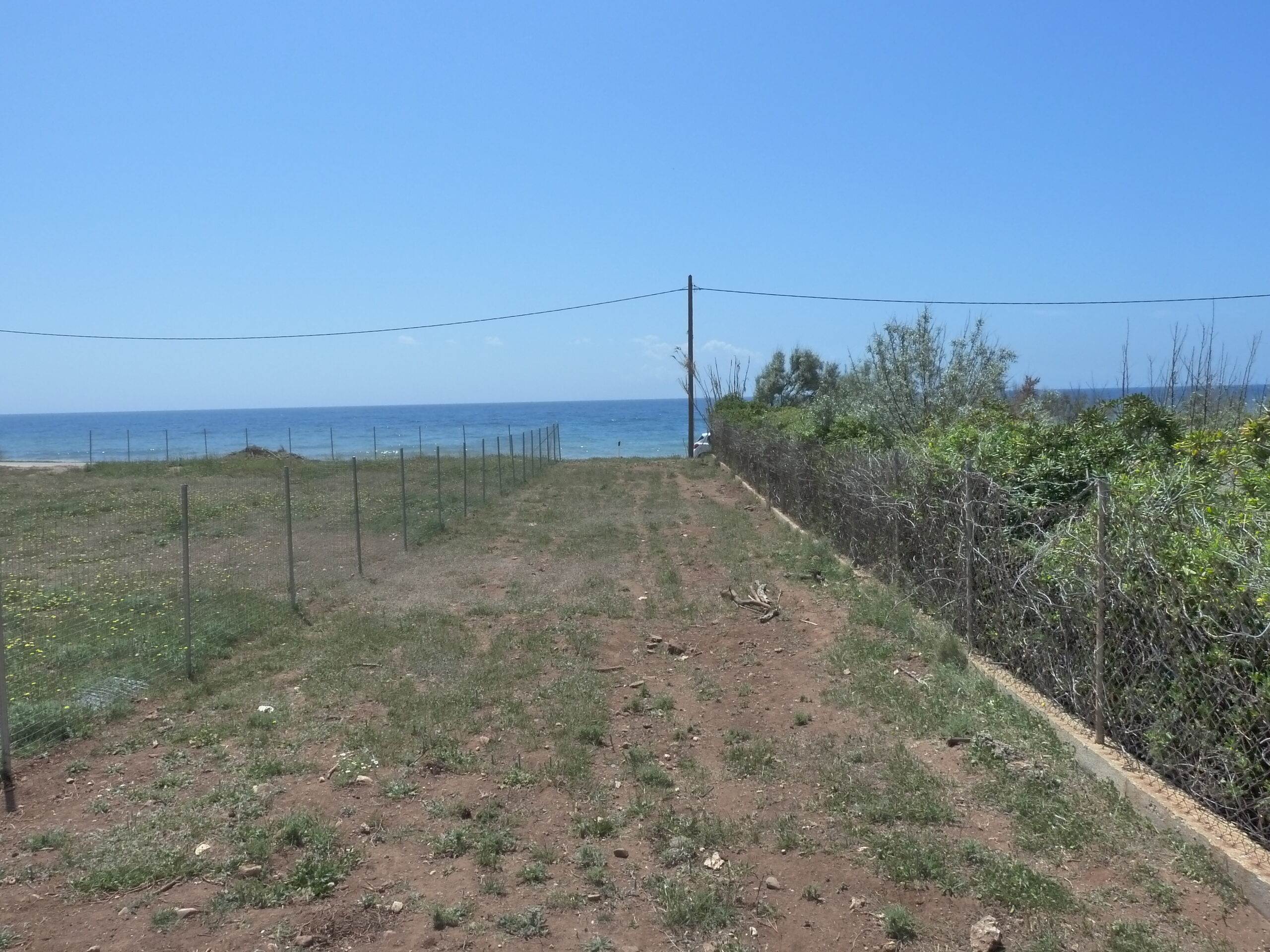 Αλεξ/πολη. Δίκελλα. Πώληση Αγροτεμαχίου 3.433 Μ2.