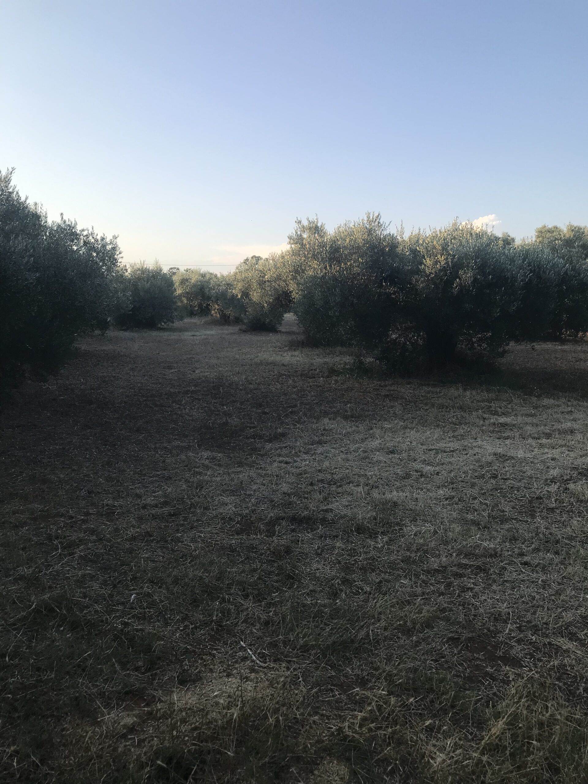 Πώληση Οικοπέδων υπο Ένταξη.