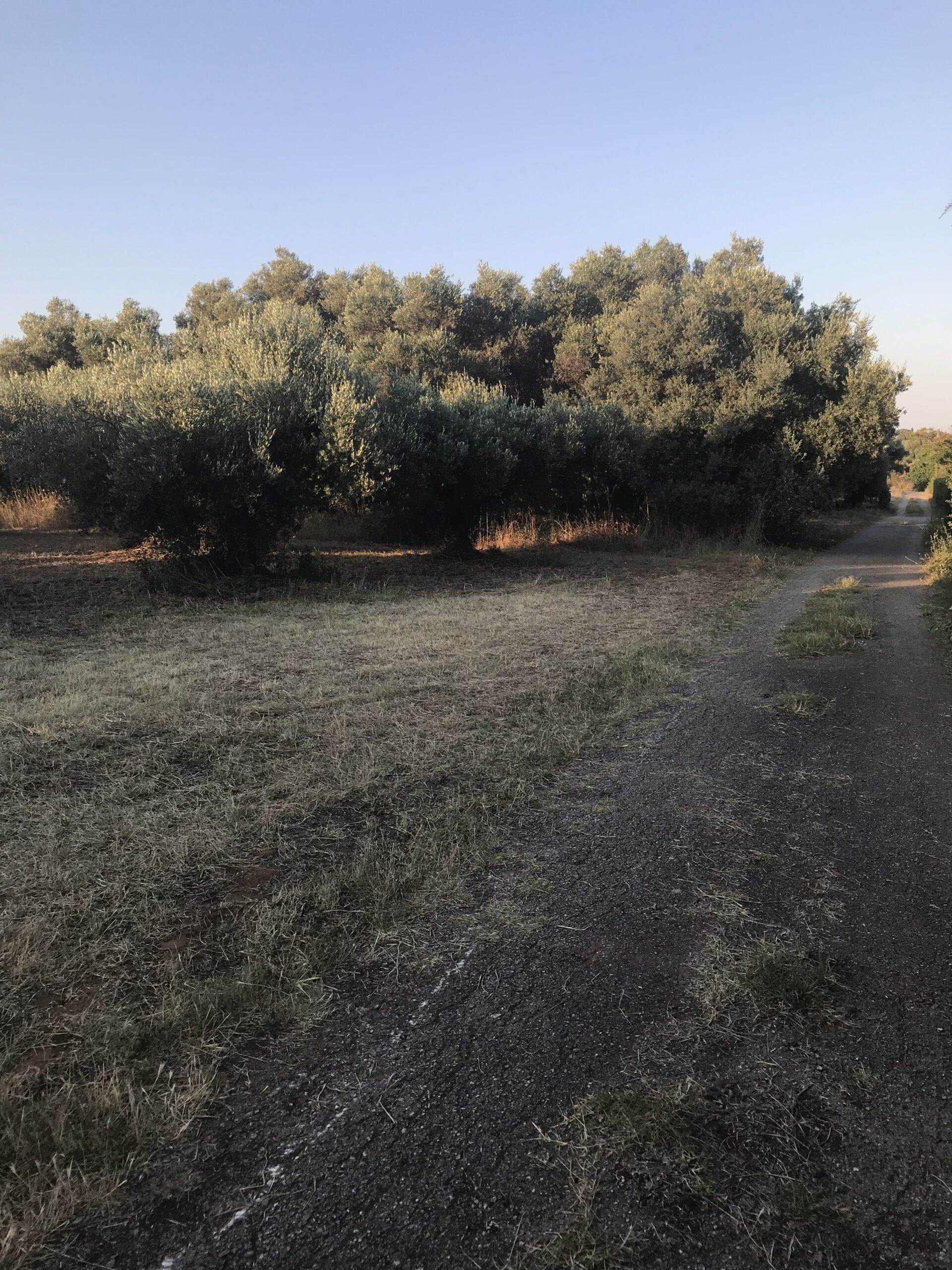 Πώληση Οικοπέδων υπο Ένταξη.