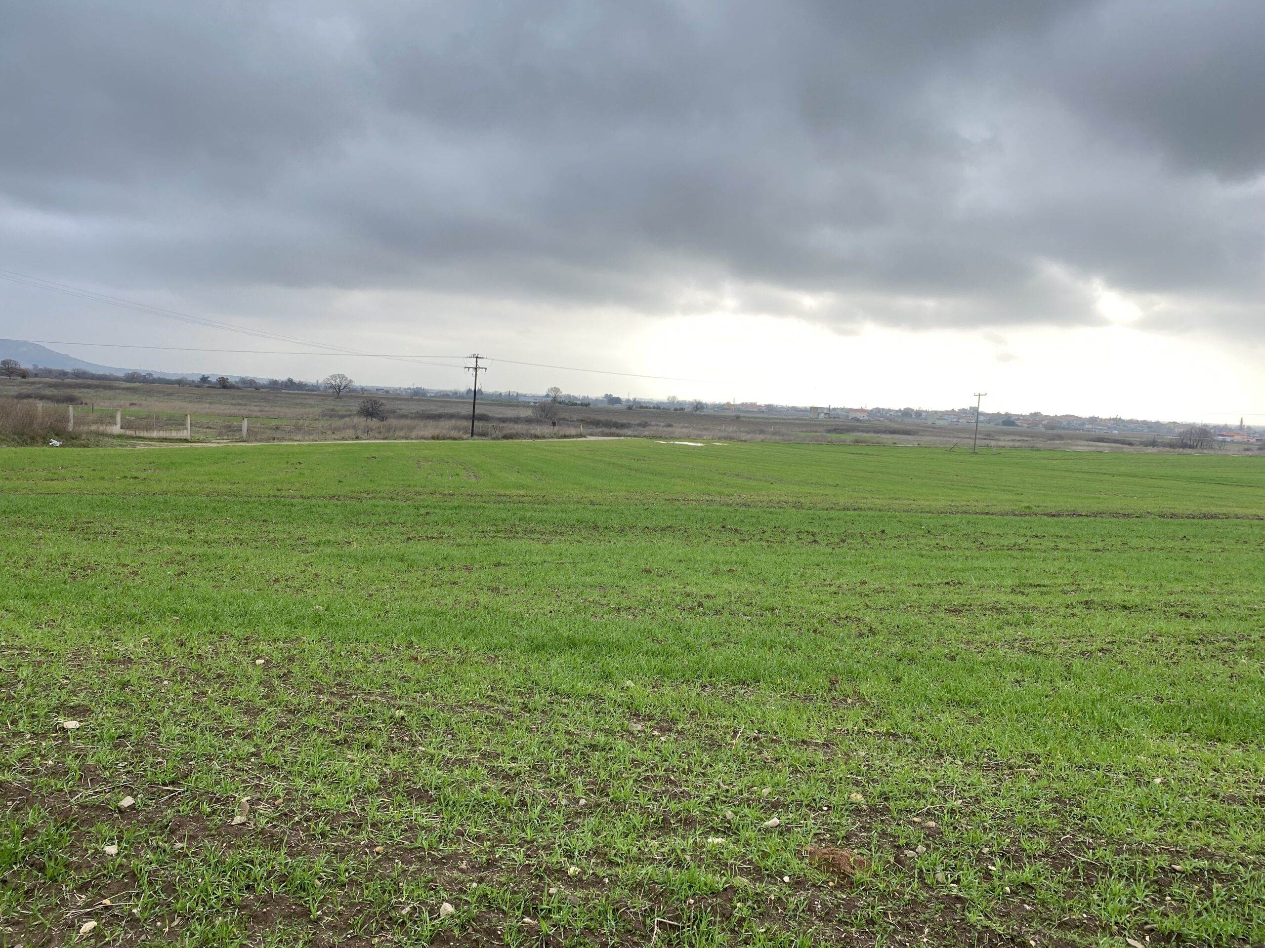 Αγνάντια. Πώληση Αγροτεμαχίου 5.750 Μ2.