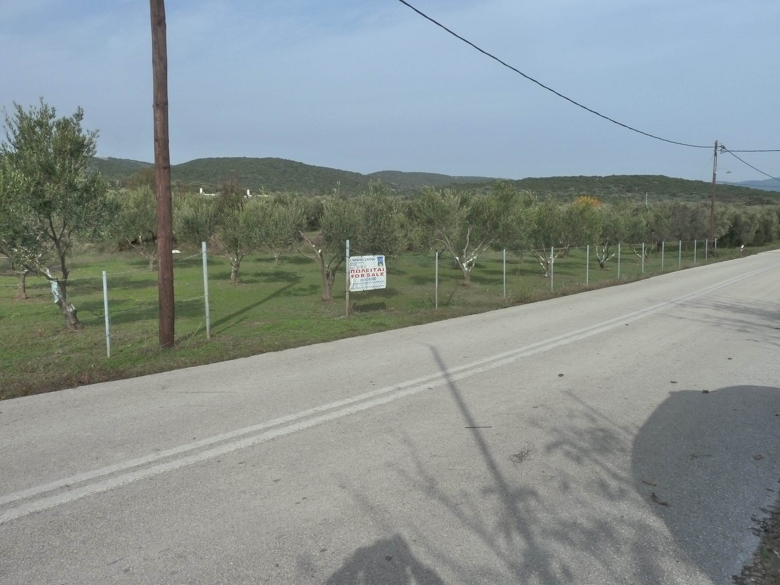 Μεσημβρία. Πώληση Αγροτεμάχιου 1.742 Μ2.