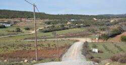 Πώληση Αγροτεμαχίου 12.050 Μ2. Καλλιθέα/Ν. Χηλή.
