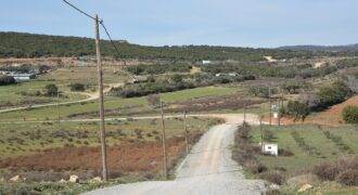 Πώληση Αγροτεμαχίου 12.050 Μ2. Καλλιθέα/Ν. Χηλή.