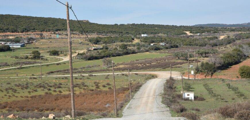 Πώληση Αγροτεμαχίου 12.050 Μ2. Καλλιθέα/Ν. Χηλή.