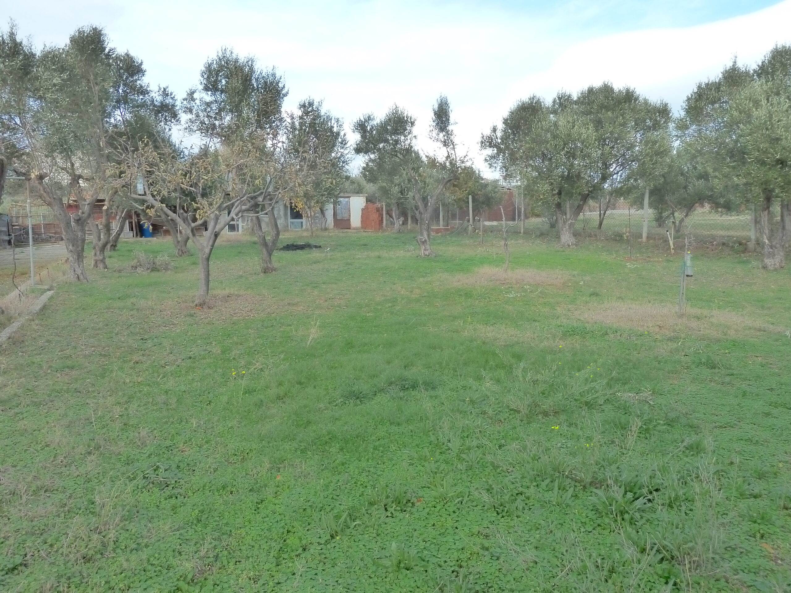 Πώληση Αγροτεμαχίου 1.430 Μ2.