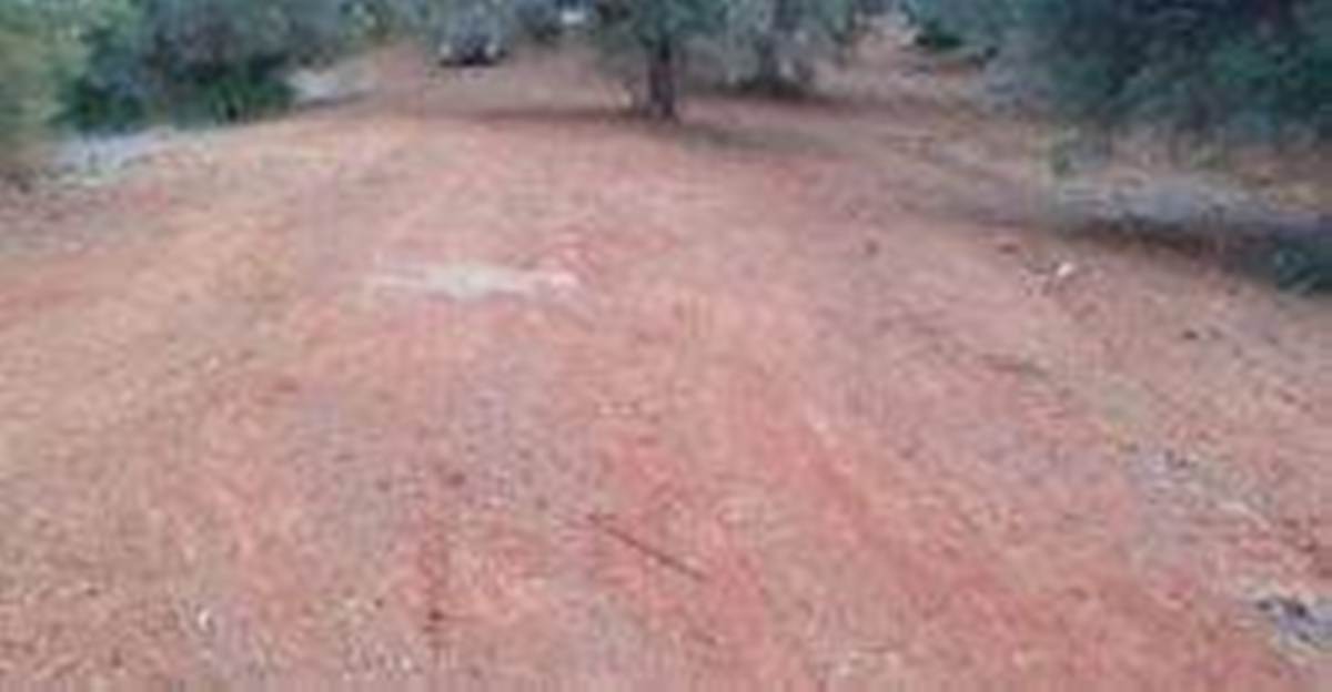 Αγ. Παρασκευή Κασσάνδρας-Χαλκιδική. Πώληση Αγροτεμαχίου.