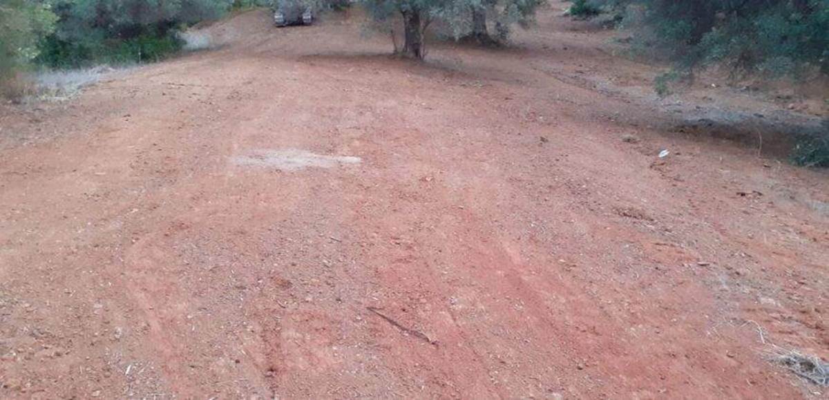 Αγ. Παρασκευή Κασσάνδρας-Χαλκιδική. Πώληση Αγροτεμαχίου.