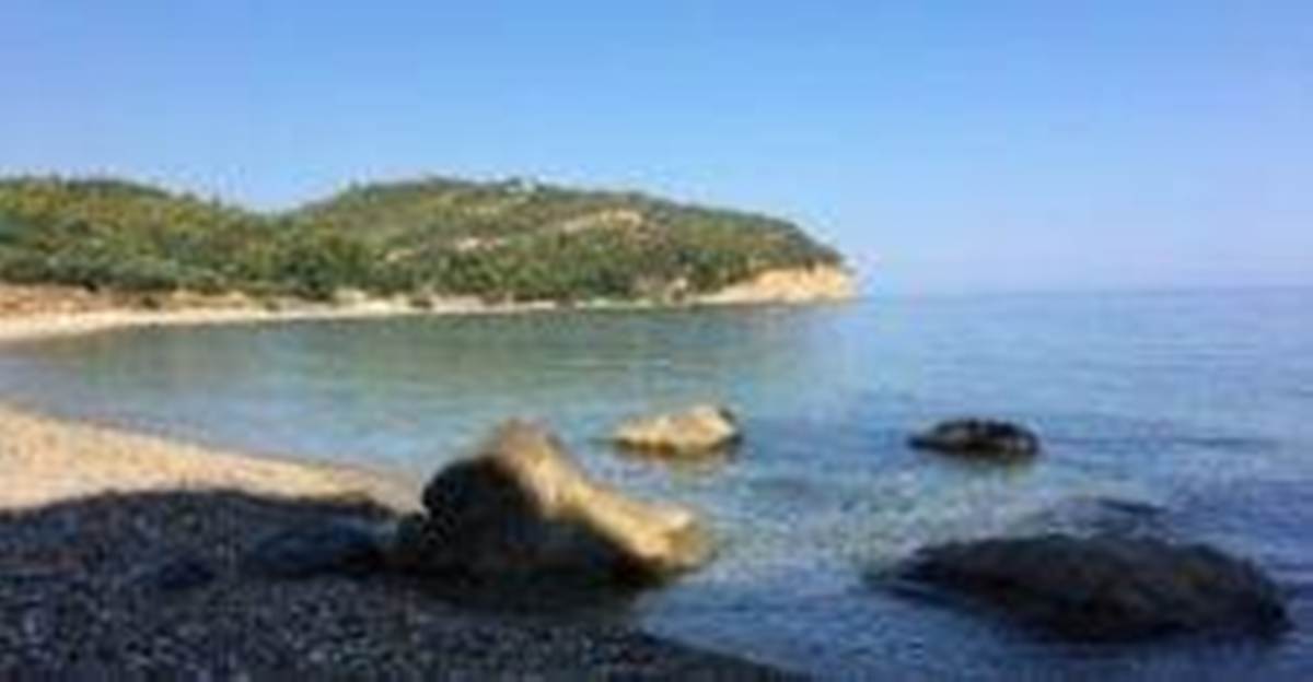 Αγ. Παρασκευή Κασσάνδρας-Χαλκιδική. Πώληση Αγροτεμαχίου.