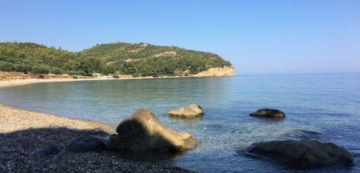 Αγ. Παρασκευή Κασσάνδρας-Χαλκιδική. Πώληση Αγροτεμαχίου.