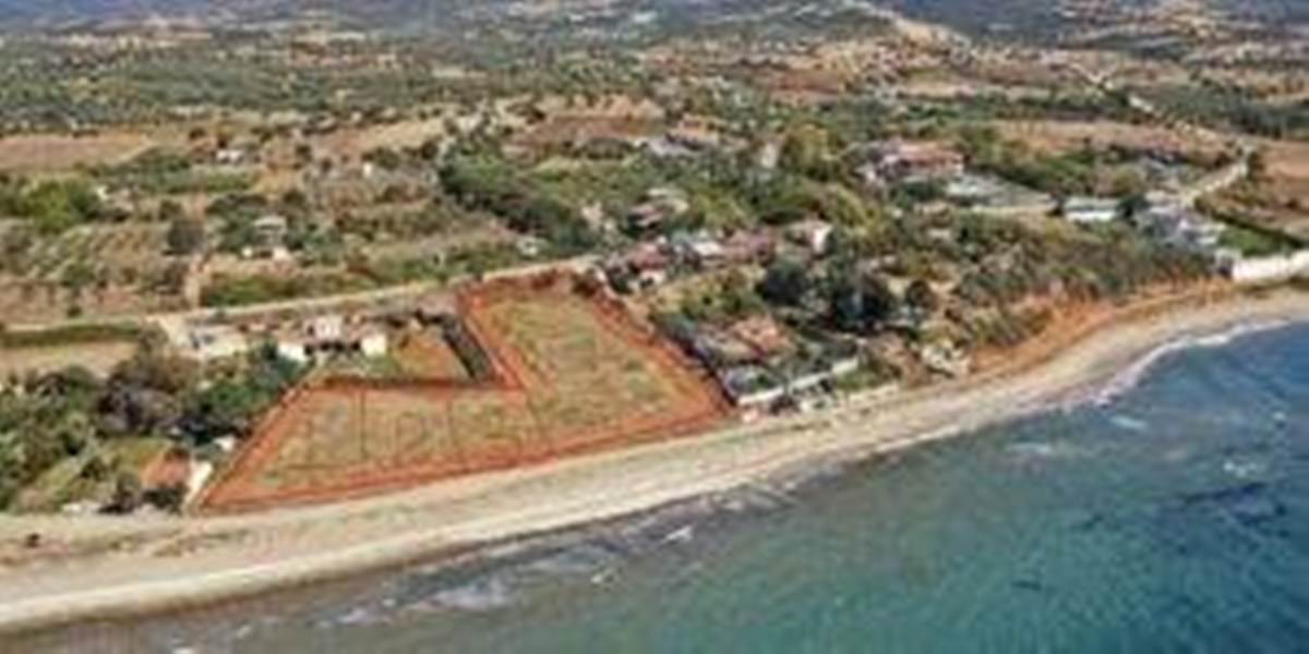 Πλατανίτης Μαρώνεια.