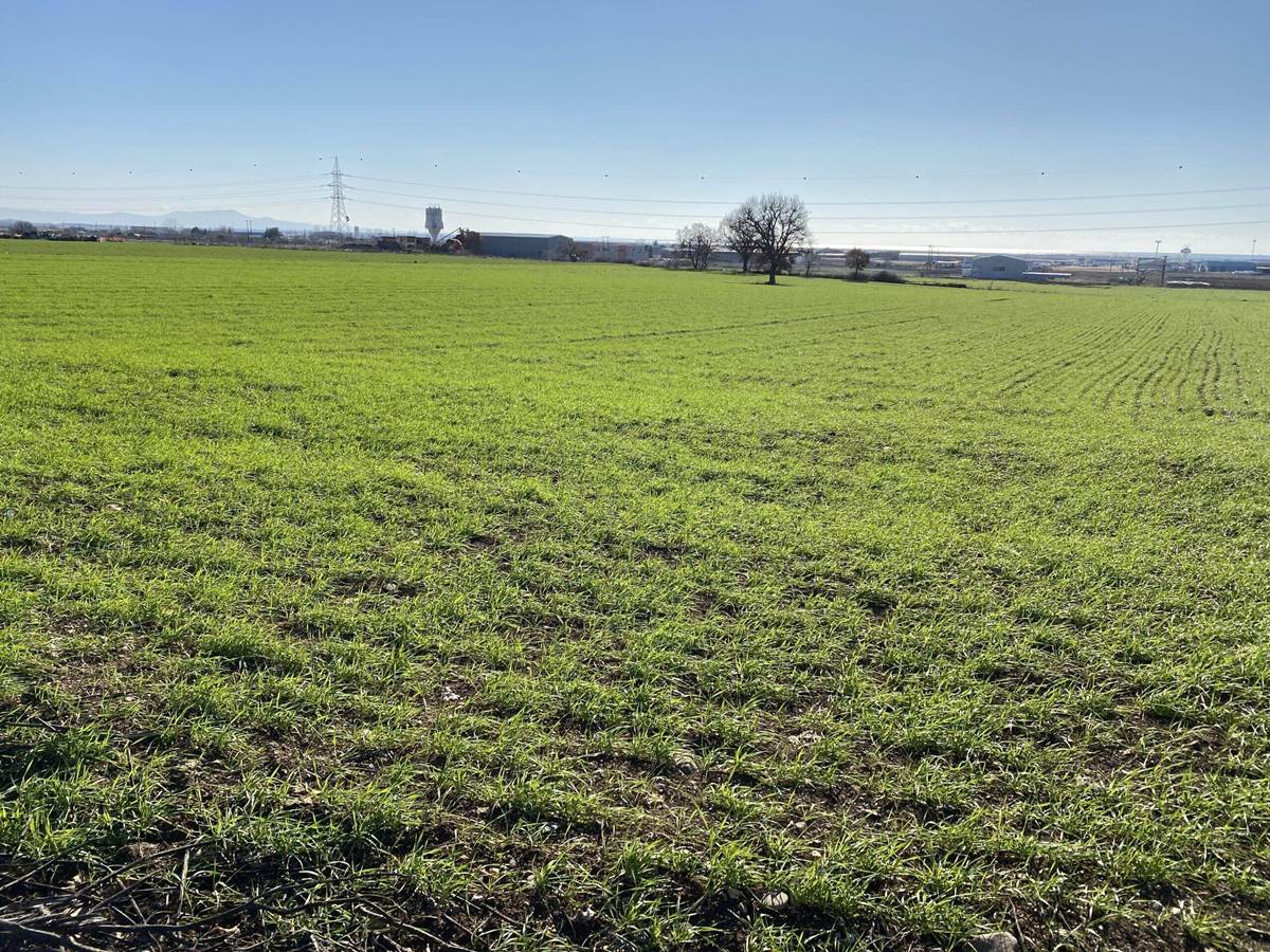 Απαλός. Πώληση Αγροτεμαχίου 18.000 Μ2.