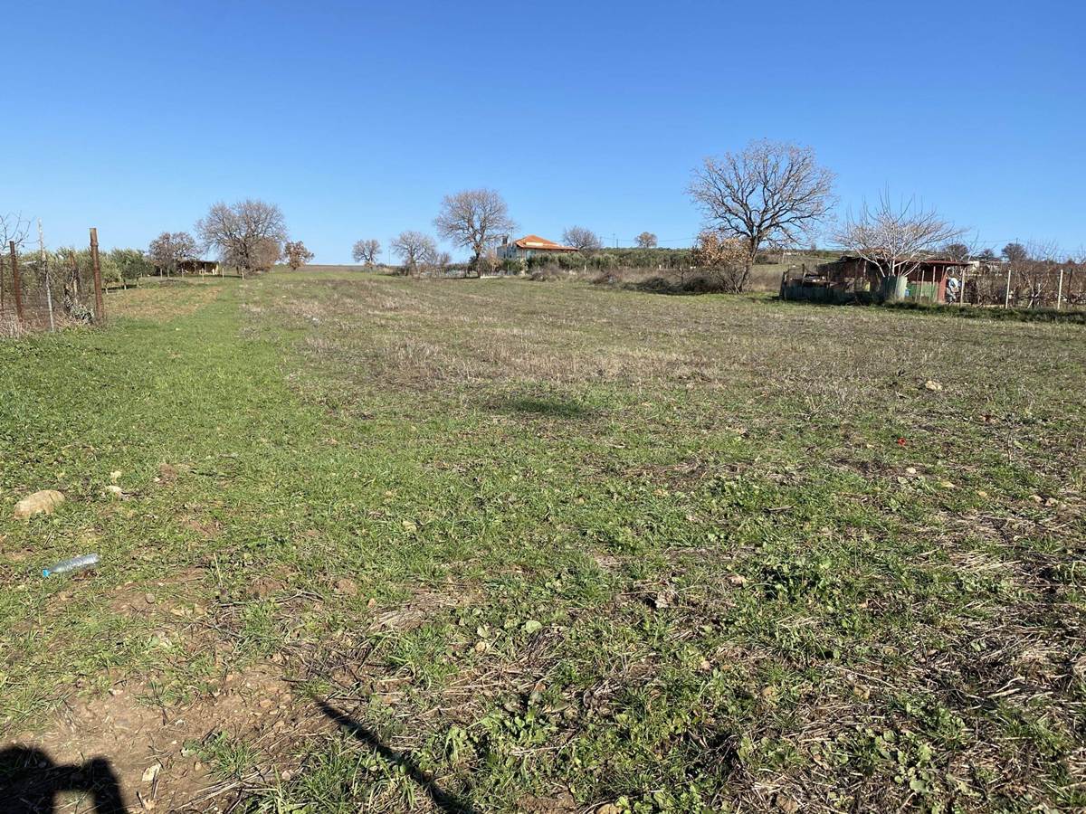 Αλεξ/πολη. Απαλός. Πώληση Αγροτεμαχίου 2.800 Μ2.