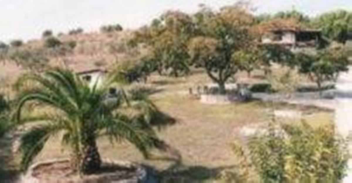 Όρμος Παναγιάς Χαλκιδική. Πώληση Μονοκατοικίας 70 Μ2.