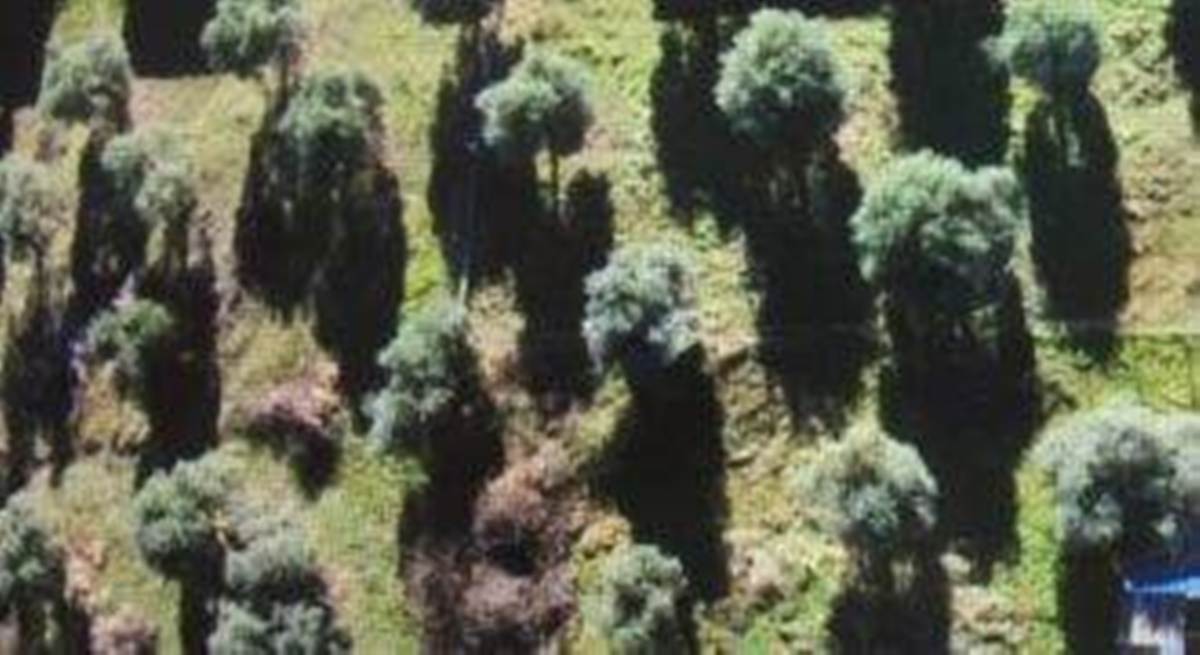 Ποτός Θάσου. Πώληση Οικοπέδου 400 Μ2.