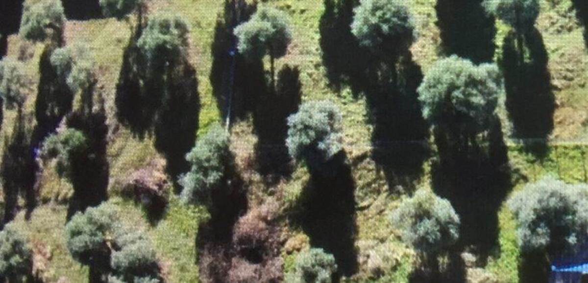 Ποτός Θάσου. Πώληση Οικοπέδου 400 Μ2.