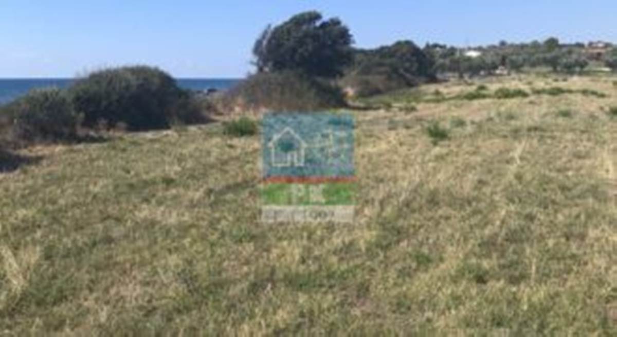 Πώληση Παραθαλάσσιου Αγροτεμαχίου 8ο χλμ. Αλεξ/πολης – Μάκρης.