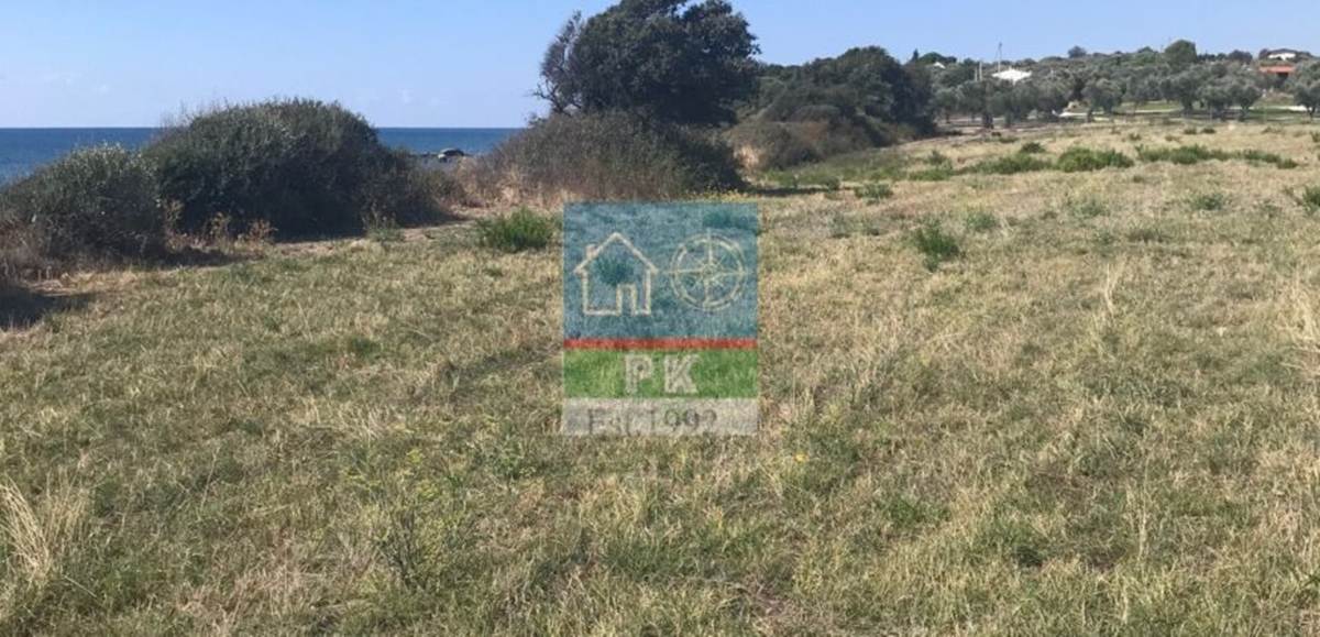 Πώληση Παραθαλάσσιου Αγροτεμαχίου 8ο χλμ. Αλεξ/πολης – Μάκρης.