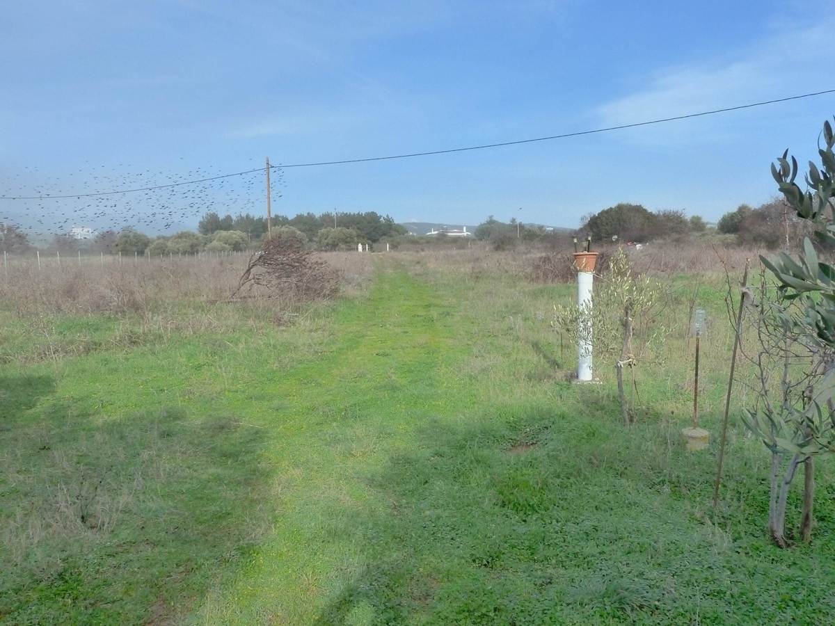 Πώληση Αγροτεμαχίου 9.700 Μ2 – 6ο χλμ. Αλεξ/πολης –  Μάκρης