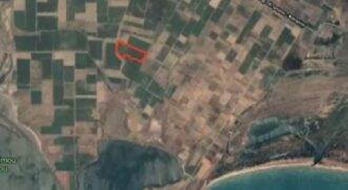 Παγούρια Ροδόπης. Πώληση Αγροτεμαχίου 100.000 Μ2.