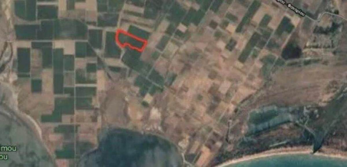 Παγούρια Ροδόπης. Πώληση Αγροτεμαχίου 100.000 Μ2.