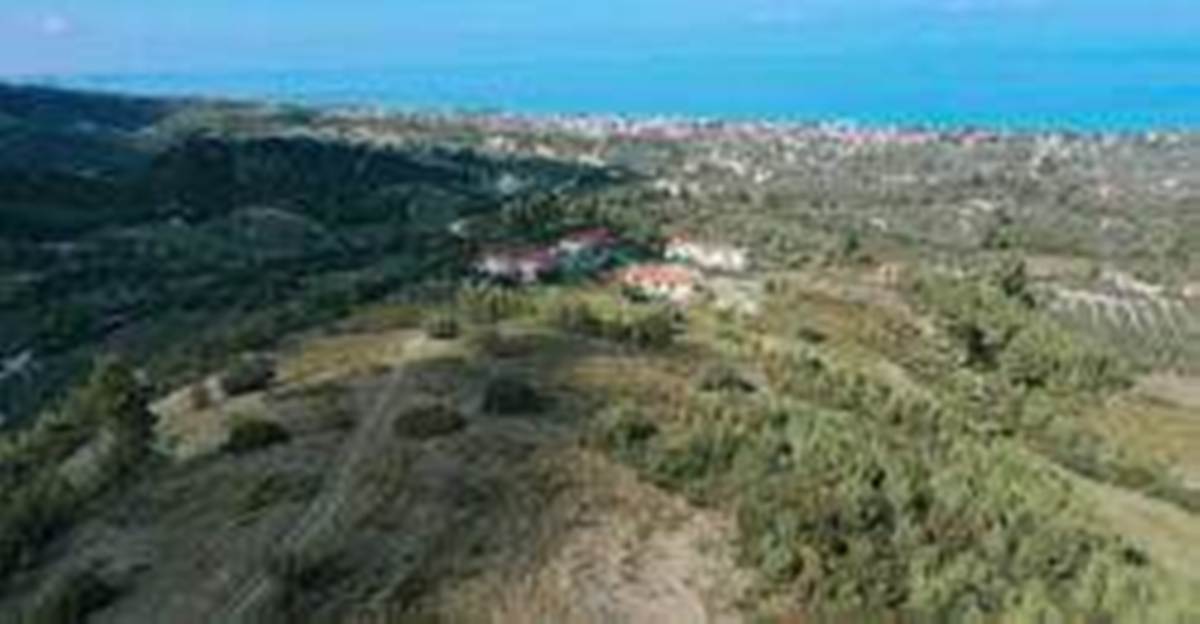 Πώληση Αγροτεμαχίου 17.000 Μ2. Κασσάνδρα Χαλκιδικής.