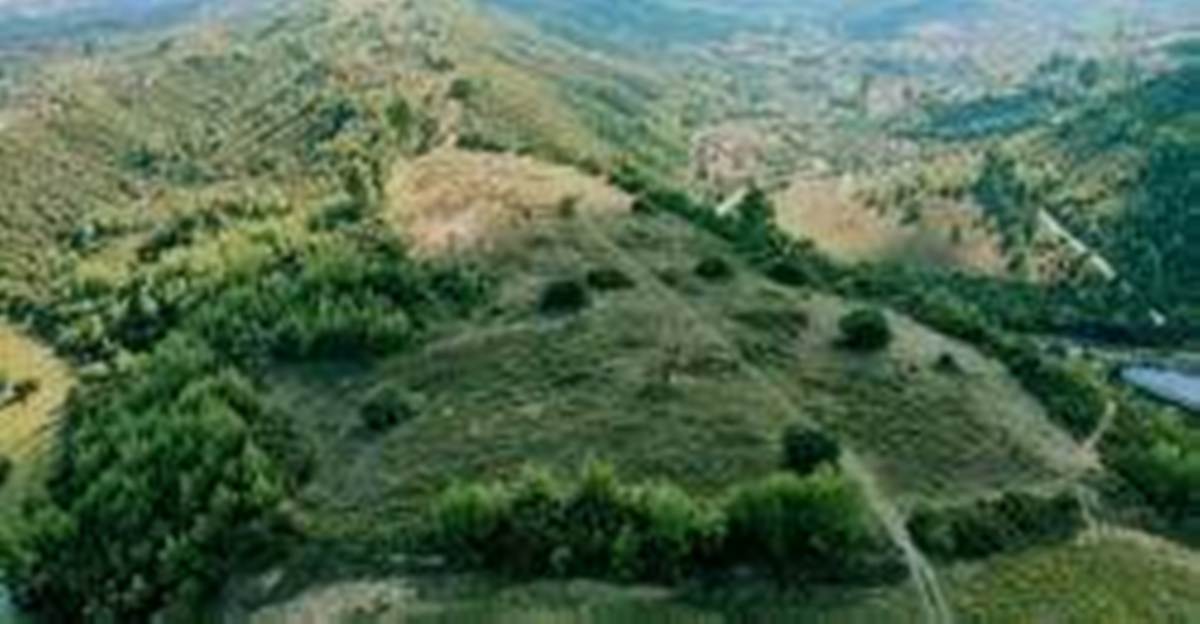 Πώληση Αγροτεμαχίου 17.000 Μ2. Κασσάνδρα Χαλκιδικής.