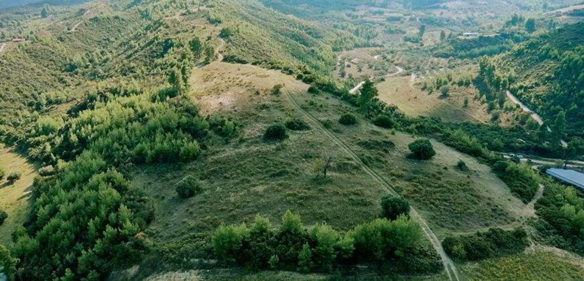 Πώληση Αγροτεμαχίου 17.000 Μ2. Κασσάνδρα Χαλκιδικής.